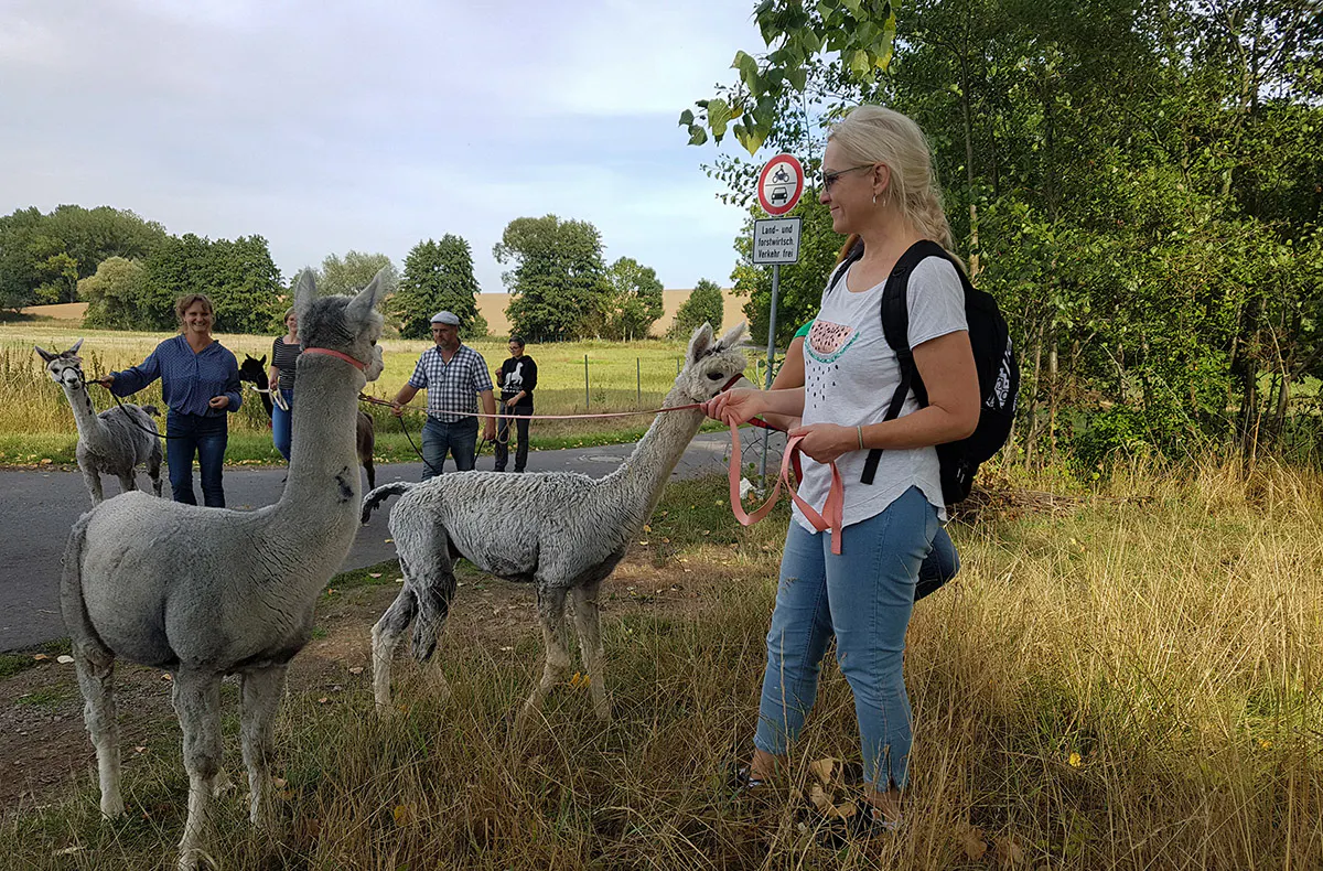 Alpaka Wanderung Wiederoda für 2 - 5