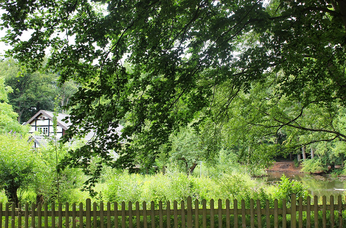 Wildkräuter Kurs Uhldingen-Mühlhofen - 5