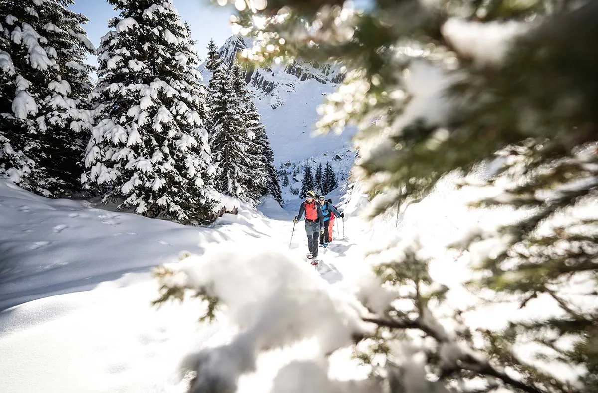 Winter Alpine Adventure Wilderswil - 4