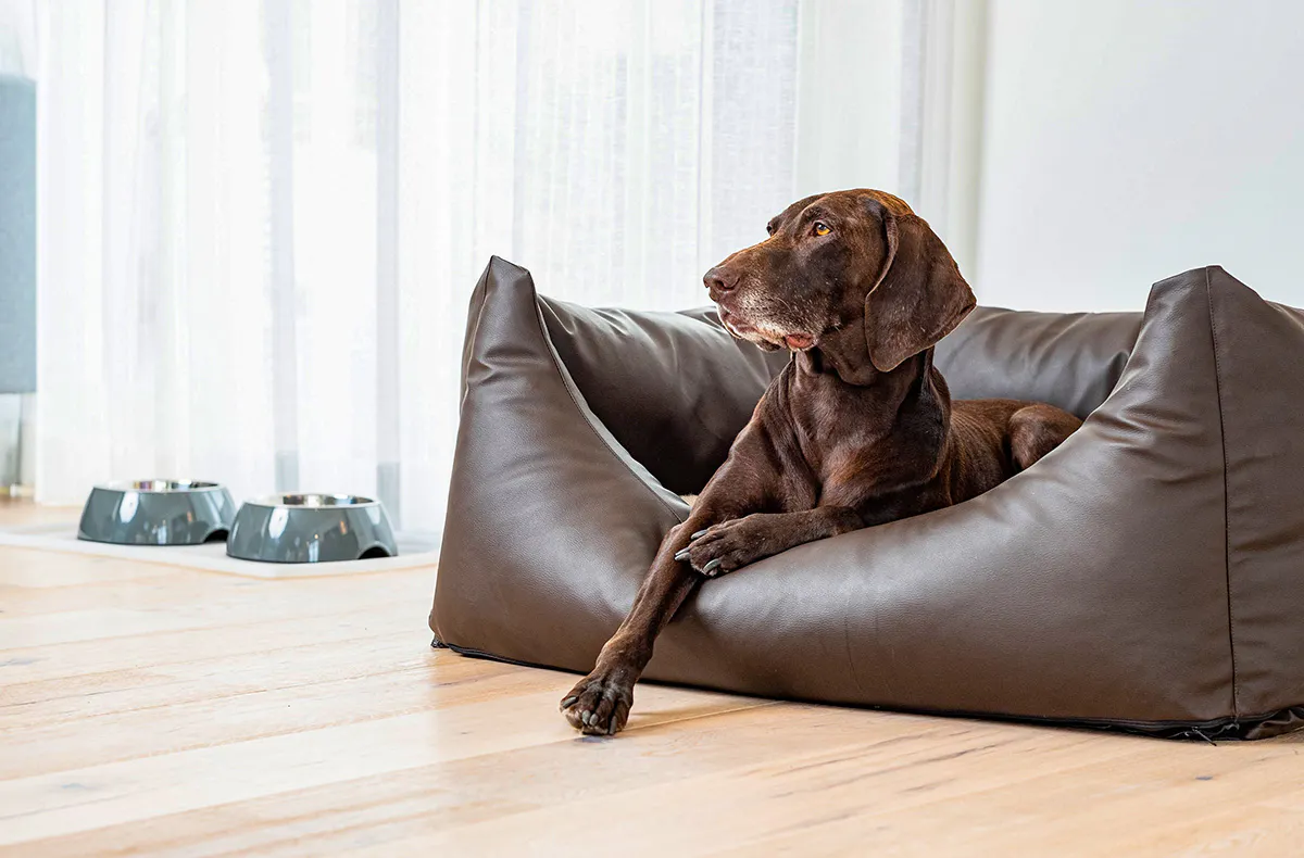 Winterurlaub mit Hund auf Sylt für 2 (1 Nacht) - 8