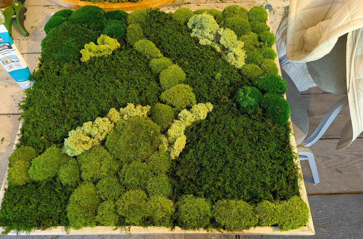 Workshop Bottrop (Moosbild) - 5