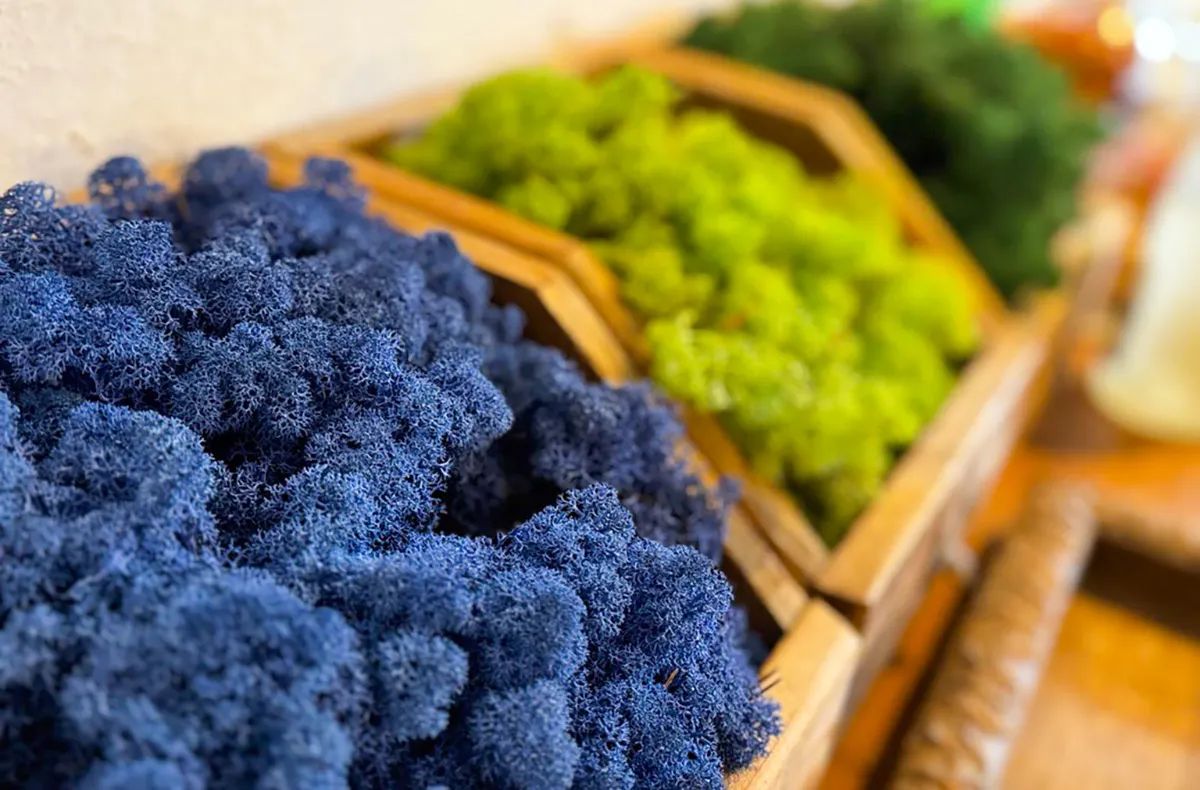 Workshop Bottrop (Moosbild) - 6