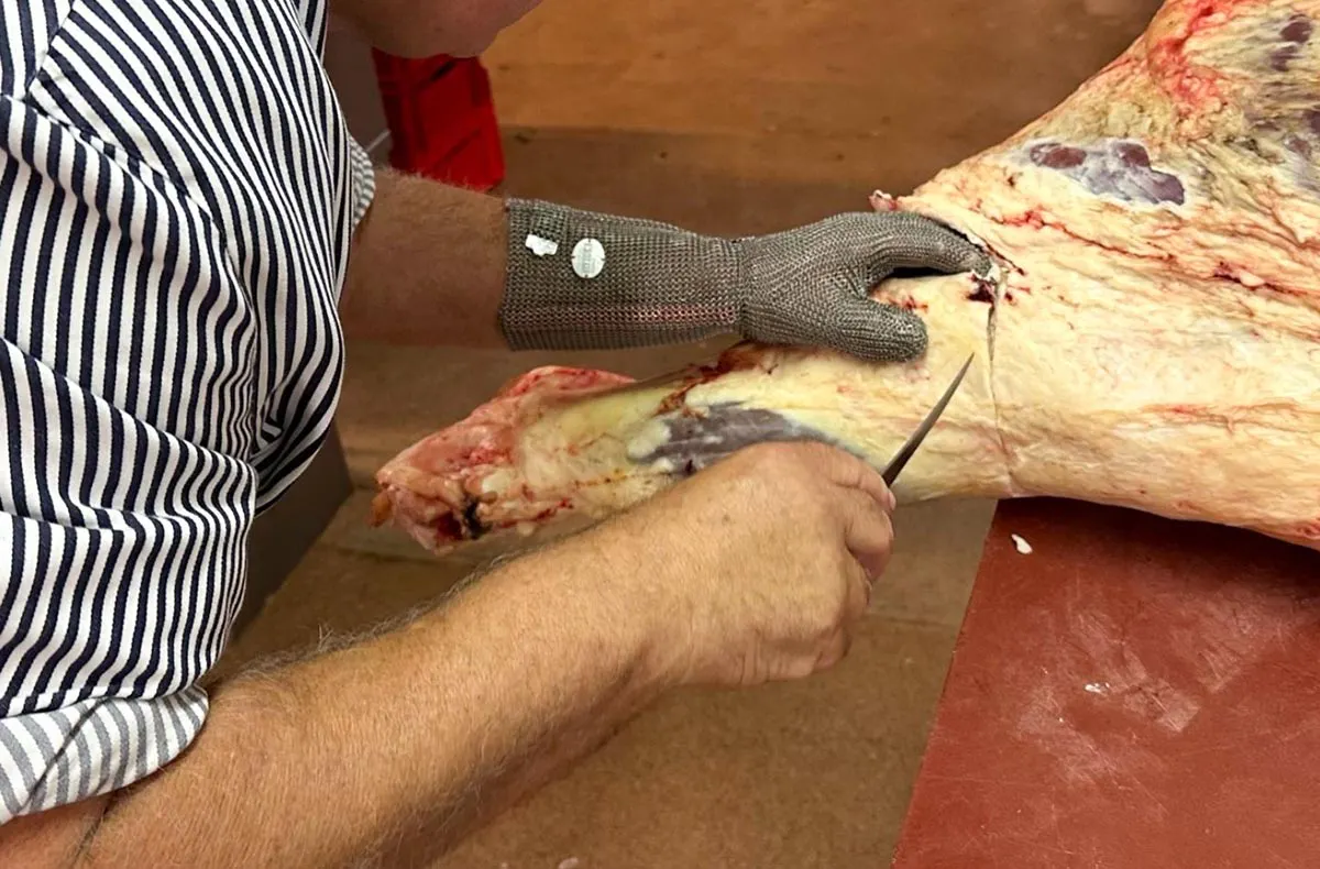 Fleisch Zerlegeworkshop Chemnitz (8 Std.) - 5