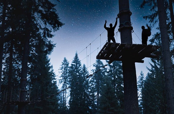 Ziplining bei Nacht im Pfälzerwald