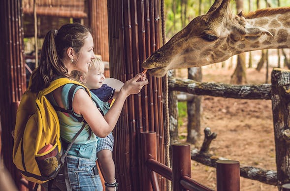 Frühstück & Zoobesuch Leipzig für 2